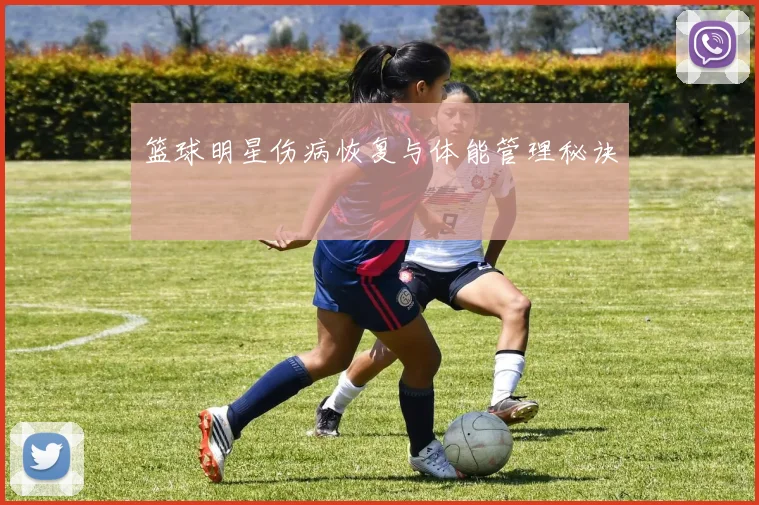 篮球明星伤病恢复与体能管理秘诀