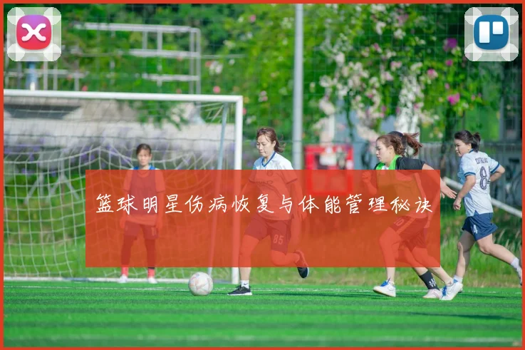 篮球明星伤病恢复与体能管理秘诀