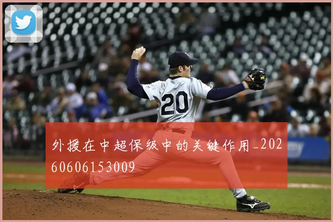 外援在中超保级中的关键作用_20260606153009